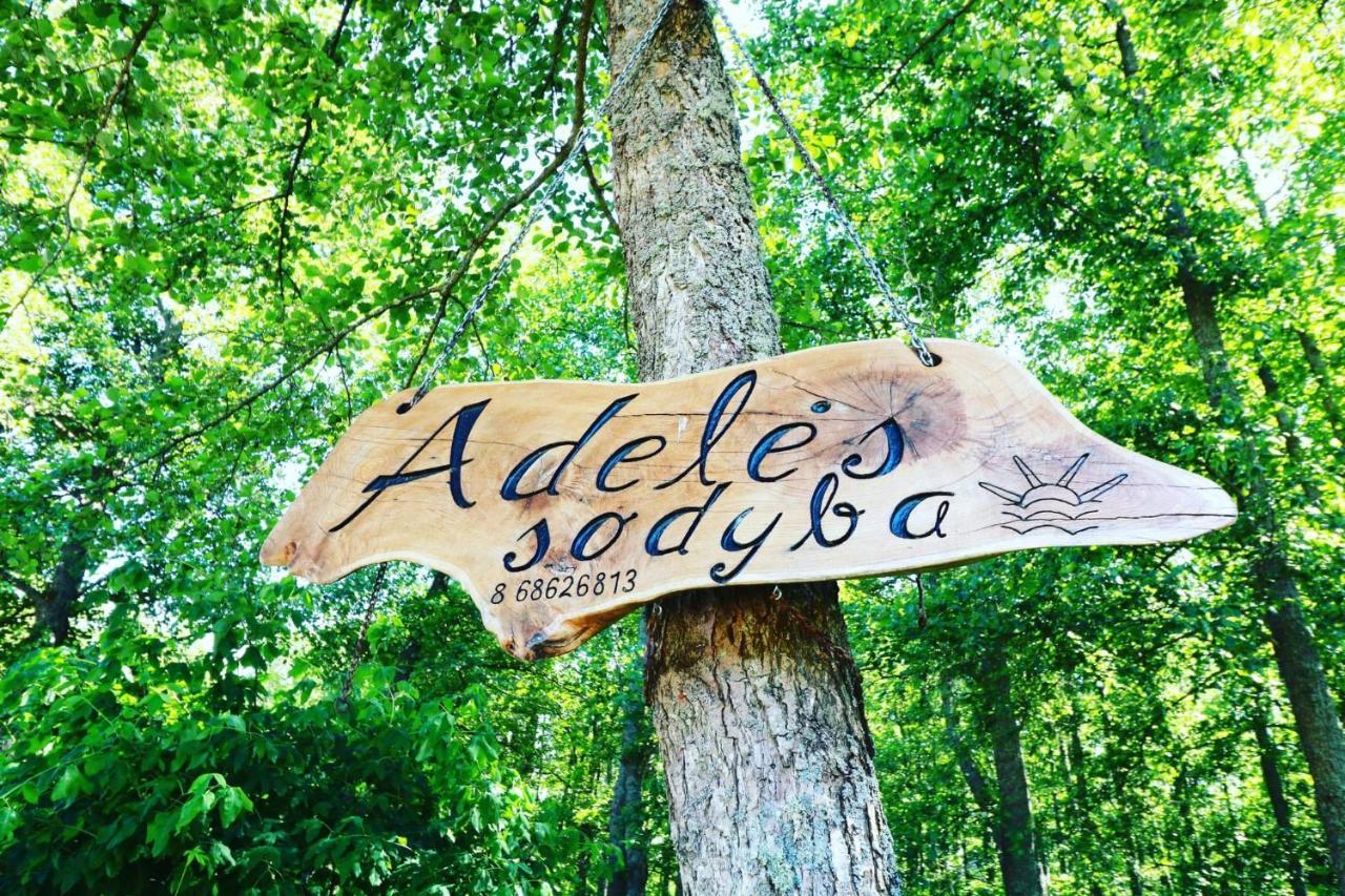 Adeles Sodyba Sturmai Экстерьер фото
